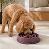 Slow Feeder Dog Bowl Non-Slip Durable Plastic Anti Choking Design for Healthy Eating