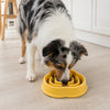 Slow Feeder Dog Bowl Non-Slip Durable Plastic Anti Choking Design for Healthy Eating