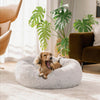 Orthopaedic Large Dog Bed - Memory Foam Plush Mattress for Big Breeds