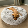 Orthopaedic Large Dog Bed - Memory Foam Plush Mattress for Big Breeds