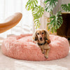 Orthopaedic Large Dog Bed - Memory Foam Plush Mattress for Big Breeds