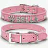Personalised Bling Rhinestone Dog Collar with Name