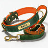 Soft Padded Personalised Leather Dog Collar with Lead Set for Small to Large Dogs