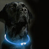 Adjustable LED Dog Collar Waterproof Rechargeable Night Safety Light