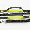 Hands-Free Dog Leash 6ft Dual Bungee Adjustable Waist Belt for Running