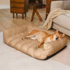 Orthopedic Large Dog Bed with Soft Teddy Fleece and Bolster Support