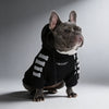 Reflective Dog Hoodie Fleece Interior for All Sizes - Cozy Dog Hooded Sweatshirt