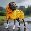 Dog Raincoat Lightweight Waterproof Adjustable Neck Rain Gear for All Breeds
