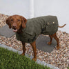 Waterproof Dog Coat Olive Oilskin Jacket with Cozy Lining and Harness