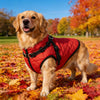 Waterproof Dog Jacket for Winter with Fleece Lining and Built-in Harness, Sizes S-XL