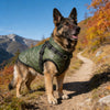 Waterproof Dog Jacket for Winter with Fleece Lining and Built-in Harness, Sizes S-XL
