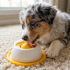 Dog Slow Feeder Bowl Anti-Tip Non-Slip Design Durable ABS Material
