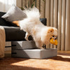 Dog Stairs for Bed Waterproof PU Leather Adjustable Pet Steps Multi-Level
