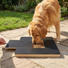 Durable Dog Nail Grooming Tool Scratching Board for All Breeds