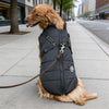 Waterproof Dog Jacket with Built-in Harness, Warm Dog Coat for Active Dogs, Adjustable Fit