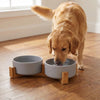 Elevated Ceramic Dog Bowl with Wood Stand for Food and Water - 300ML & 400ML