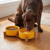 Elevated Ceramic Dog Bowl with Wood Stand for Food and Water - 300ML & 400ML