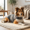 Dog Vest Thunder Jacket for Dogs, Calming Anxiety Relief Shirt, Soft Fabric, Small Medium Large