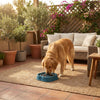 Slow Feeder Dog Bowl Non-Slip Durable Plastic Anti Choking Design for Healthy Eating